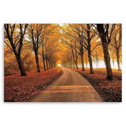 Well Traveled Giclee Canvas Art Print