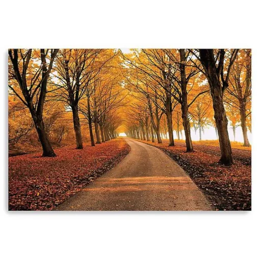 Well Traveled Giclee Canvas Art Print
