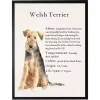 Welsh Terrier Facts Framed Wall Plaque