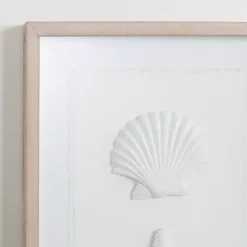 White Shells Shadowbox Wall Plaque