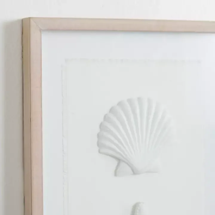White Shells Shadowbox Wall Plaque