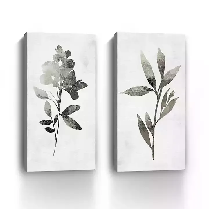 A Shadow of a Flower 2-pc. Canvas Art Set