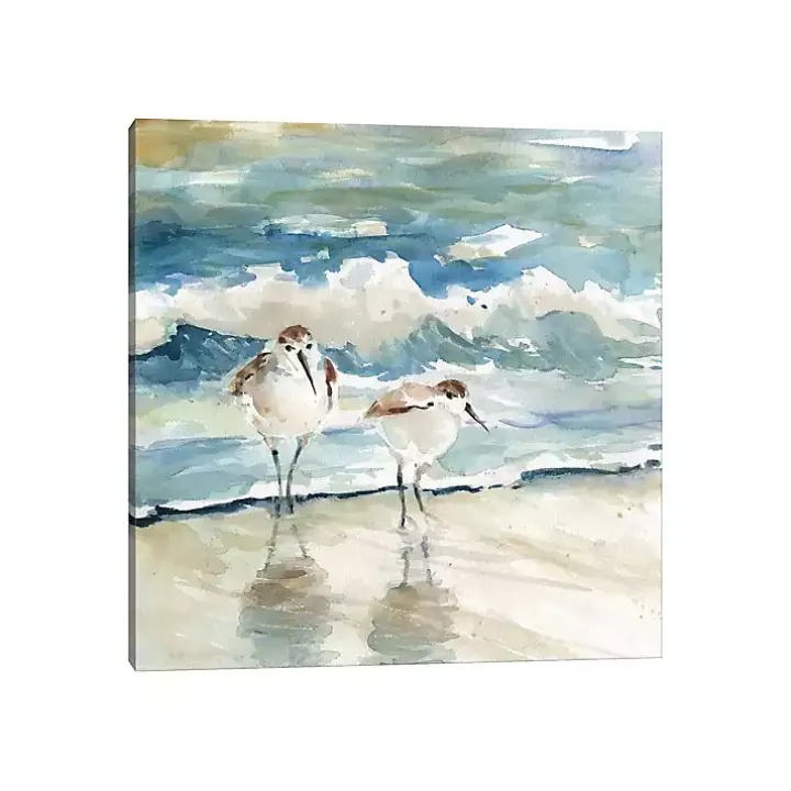 Beach Birds Canvas Art Print