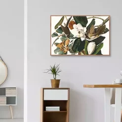 Black Billed Cuckoo Framed Canvas Art Print