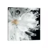 Black Wispy Peony Canvas Art Print