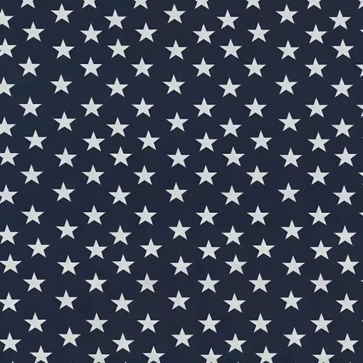 Blue & White Stars Outdoor Seat Cushions, Set of 2