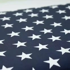 Blue & White Stars Outdoor Pillows, Set of 2