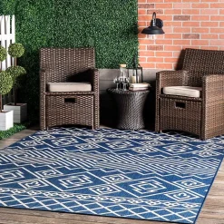 Blue Cassie Global Outdoor Area Rug, 5x8