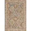 Blue Distressed Multi Medallion Area Rug, 5x7