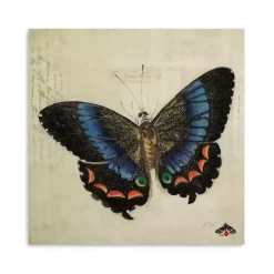 Blue Vintage Butterfly Canvas Art Print