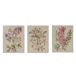 Botanical Linen Art Prints, Set of 3