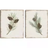Botanical Pine Spruce Canvas Art Prints, Set of 2