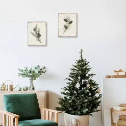 Botanical Pine Spruce Canvas Art Prints, Set of 2
