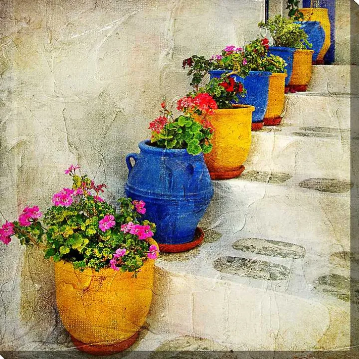 Bright Pots Outdoor Canvas Art Print