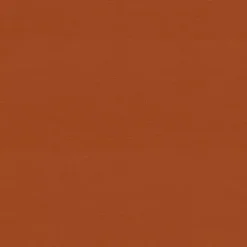 Burnt Orange Outdoor Chair Cushion