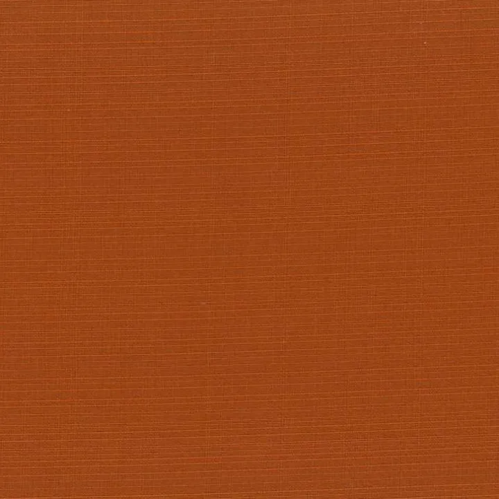 Burnt Orange Outdoor Pillows, Set of 2