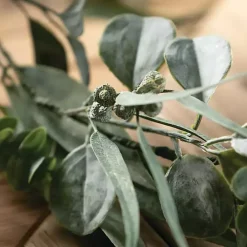 Cali Eucalyptus Garland