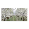 Countryside Path Canvas Art Print