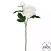 Cream Blooming Peony Stems, Set of 6