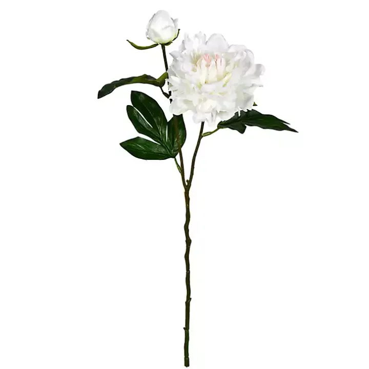 Cream Blooming Peony Stems, Set of 6