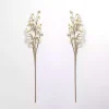 Cream Everlasting Flower Stems, Set of 2