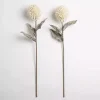 Cream Ombre Thistle Flower Stem