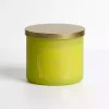 Cucumber Cactus 14 oz. 3-Wick Jar Candle
