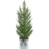 Cypress Mini Potted Christmas Tree