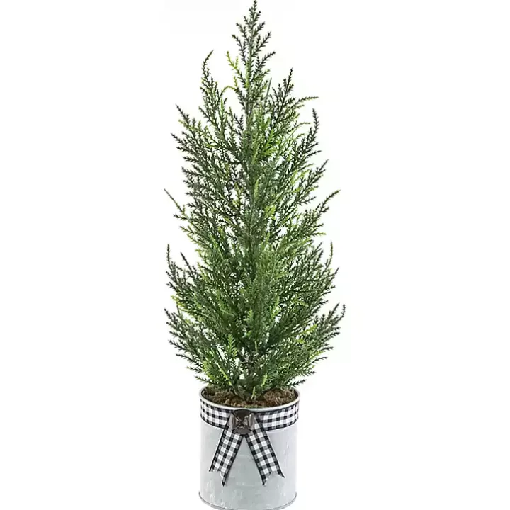 Cypress Mini Potted Christmas Tree