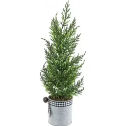 Cypress Mini Potted Christmas Tree