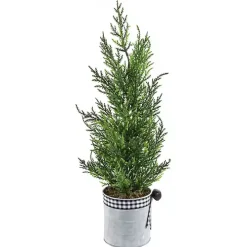 Cypress Mini Potted Christmas Tree
