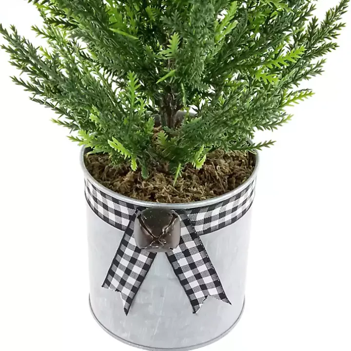 Cypress Mini Potted Christmas Tree