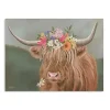Daisy Mae Cow Canvas Art Print