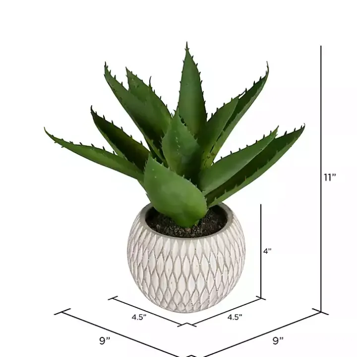 Deep Green Aloe Leaves in Ceramic Container