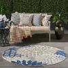 Denim Floral Burst Round Outdoor Area Rug