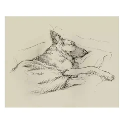 Dog Days IV Canvas Art Print