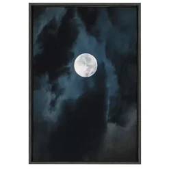 Driftless Moon Framed Canvas Art Print