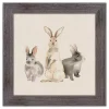 Easter Bunny Trio Framed Art Print