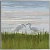 Egret Meeting Framed Canvas Art Print