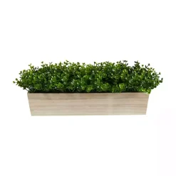Eucalyptus Arrangement in Wide Wooden Planter