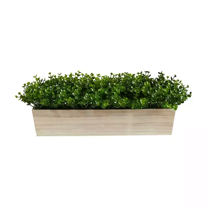 Eucalyptus Arrangement in Wide Wooden Planter