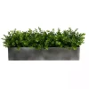 Eucalyptus Arrangement in Gray Planter Box