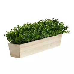 Eucalyptus Arrangement in Wide Wooden Planter