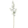 Eucalyptus Sprays, Set of 3