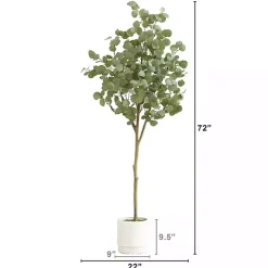 Eucalyptus Tree in White Planter, 6 ft.