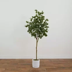 Eucalyptus Tree in White Planter, 6 ft.