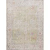 Faded Botanical Washable Area Rug, 5x7
