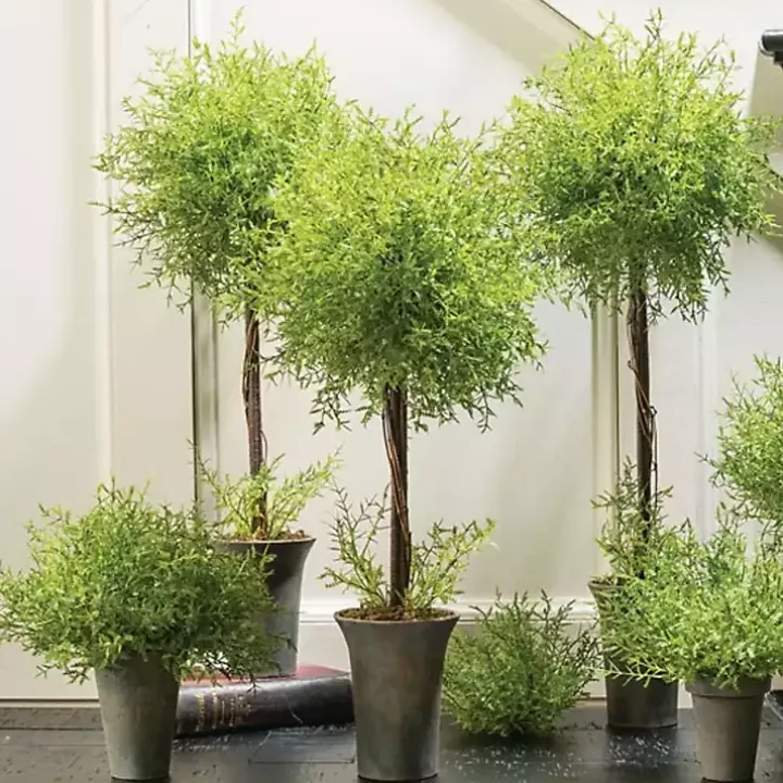 Feather Fern Topiaries, Set of 3