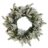 Flocked Evergreen and Mixed Berry LED Wreath