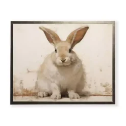 Fluffy Bunny Framed Art Print